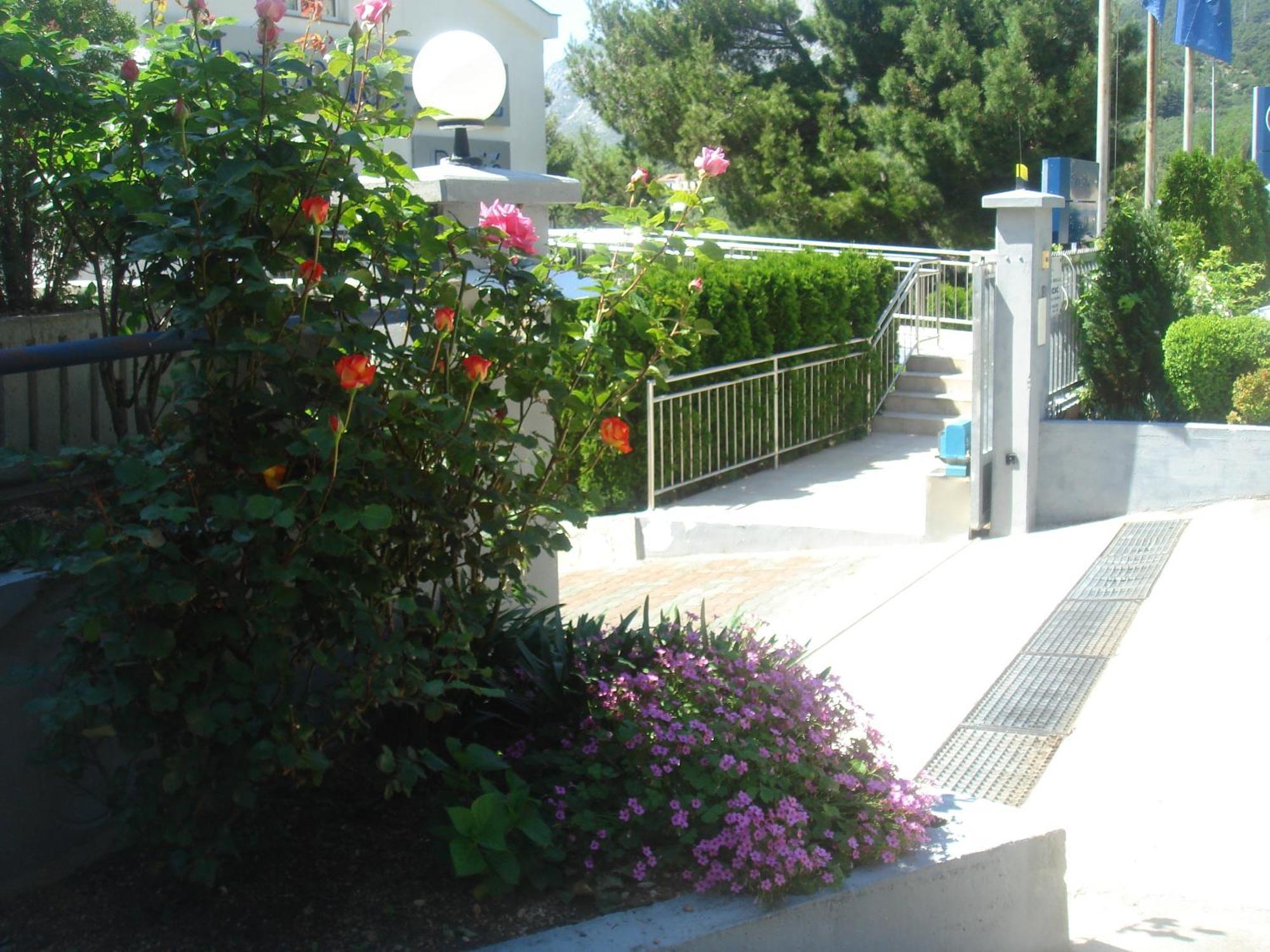 Aparthotel Pecic Gradac  Extérieur photo