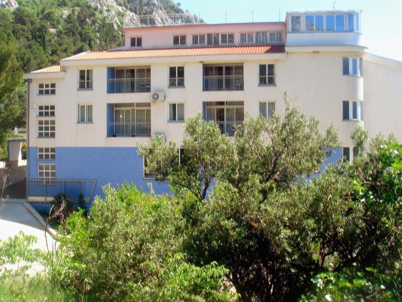 Aparthotel Pecic Gradac  Extérieur photo